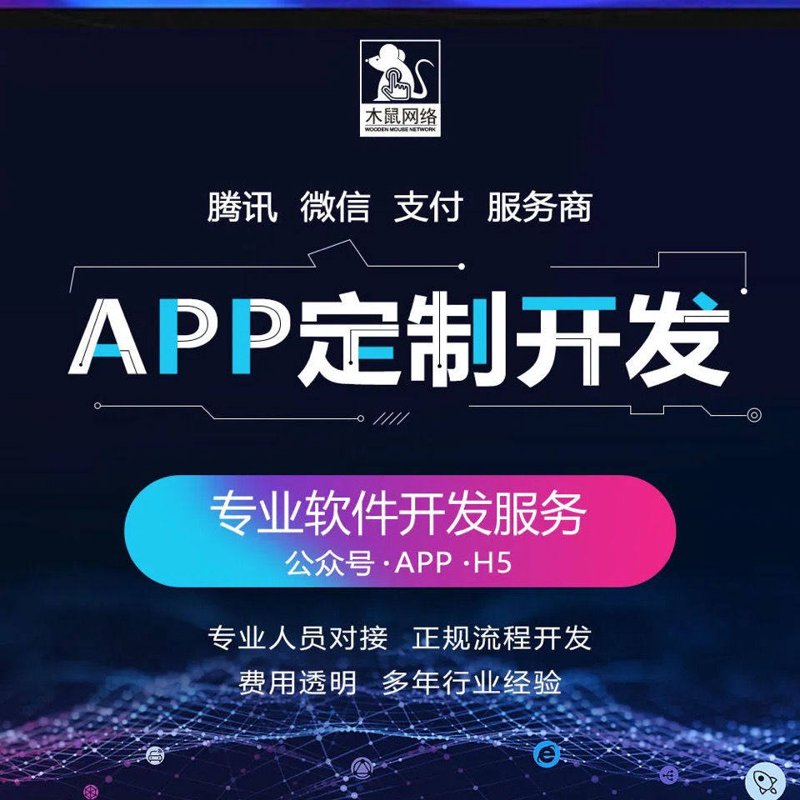 上海软件开发：推动信息技术产业腾飞的新引擎